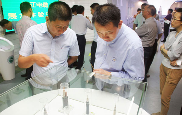 長沙市委領導考察湘江電纜高壓電力電纜生產(chǎn)工作