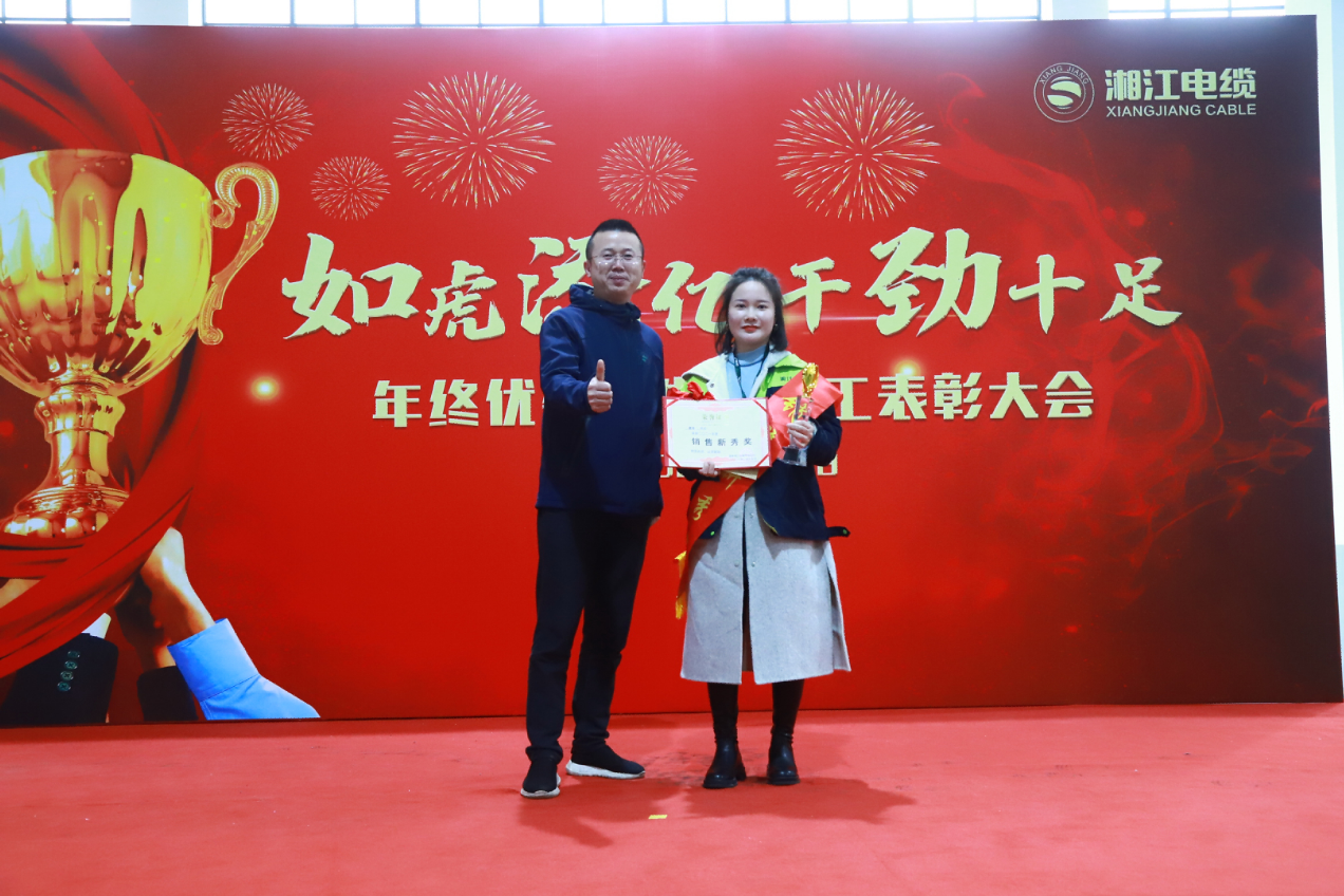 湘江電纜集團(tuán)2021年終表彰大會隆重舉行